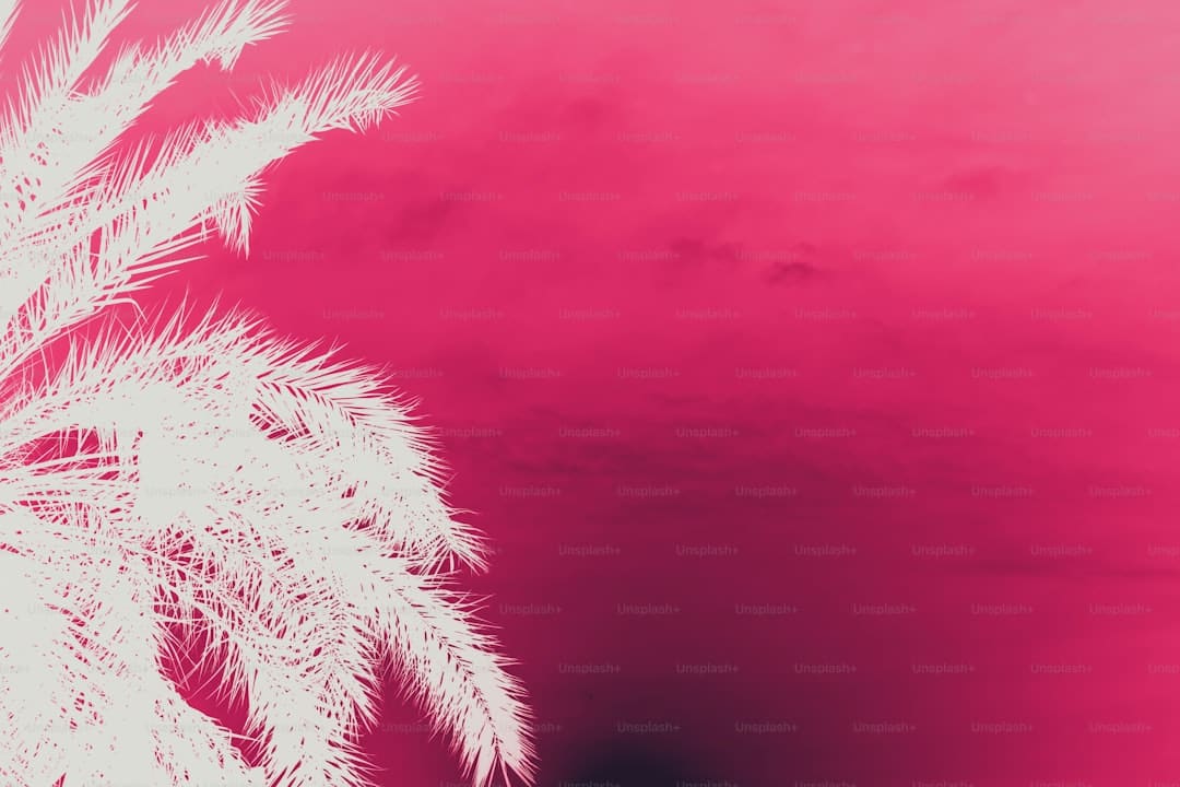风油精伤不伤车漆